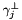 $\gamma_j^{\perp }$